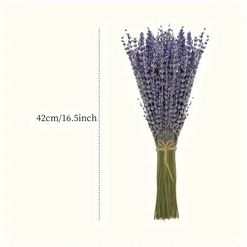 Mèches de fleurs de lavande séchées naturelles