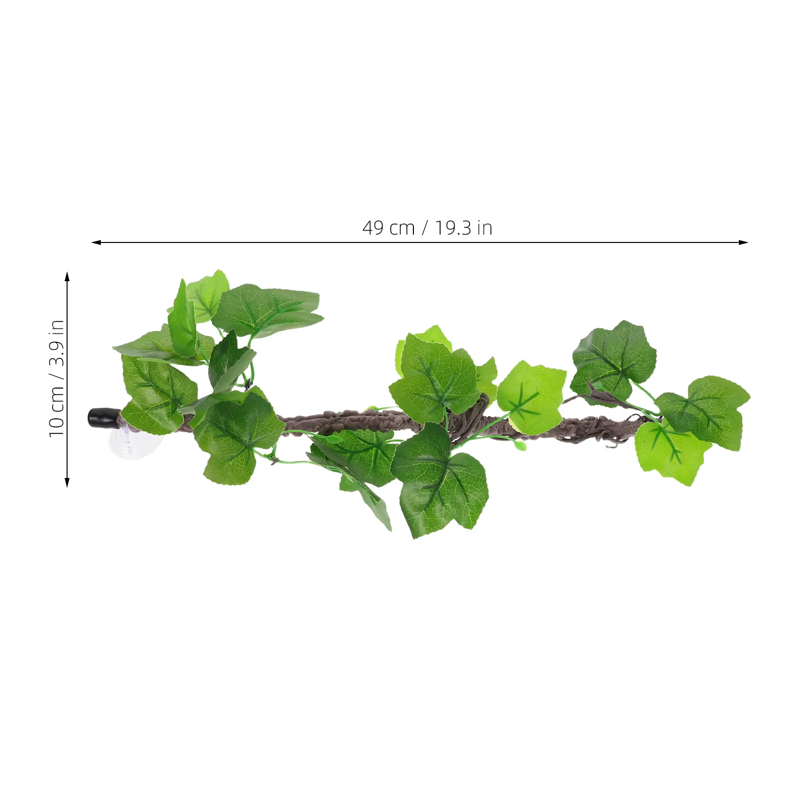 Branches de Reptiles, vignes de Jungle