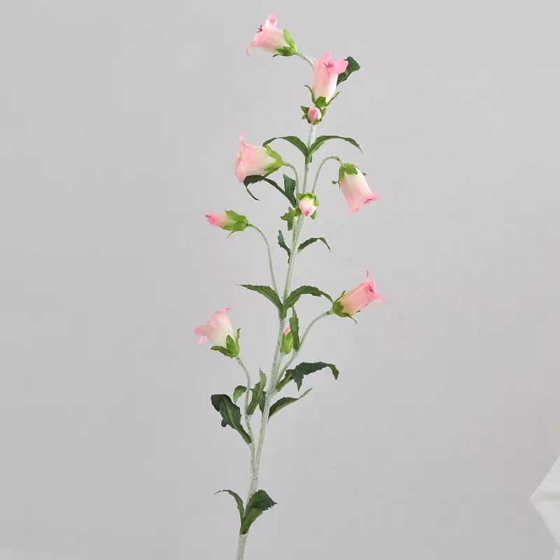 De campanule de flocage Élà longue branche