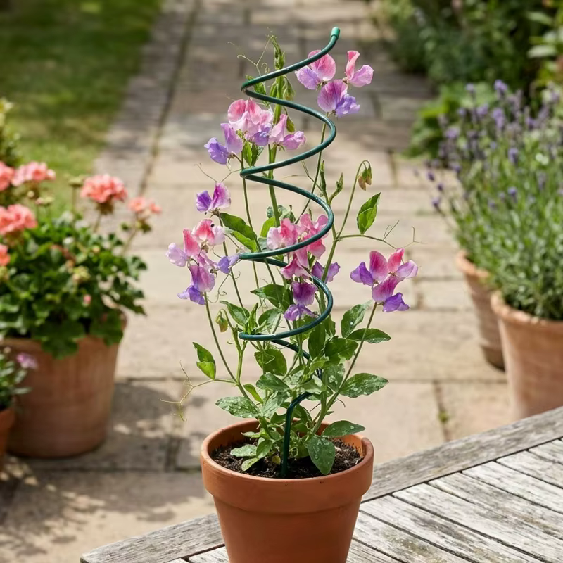 1/5 pièces Tuteurs spirales pour plantes