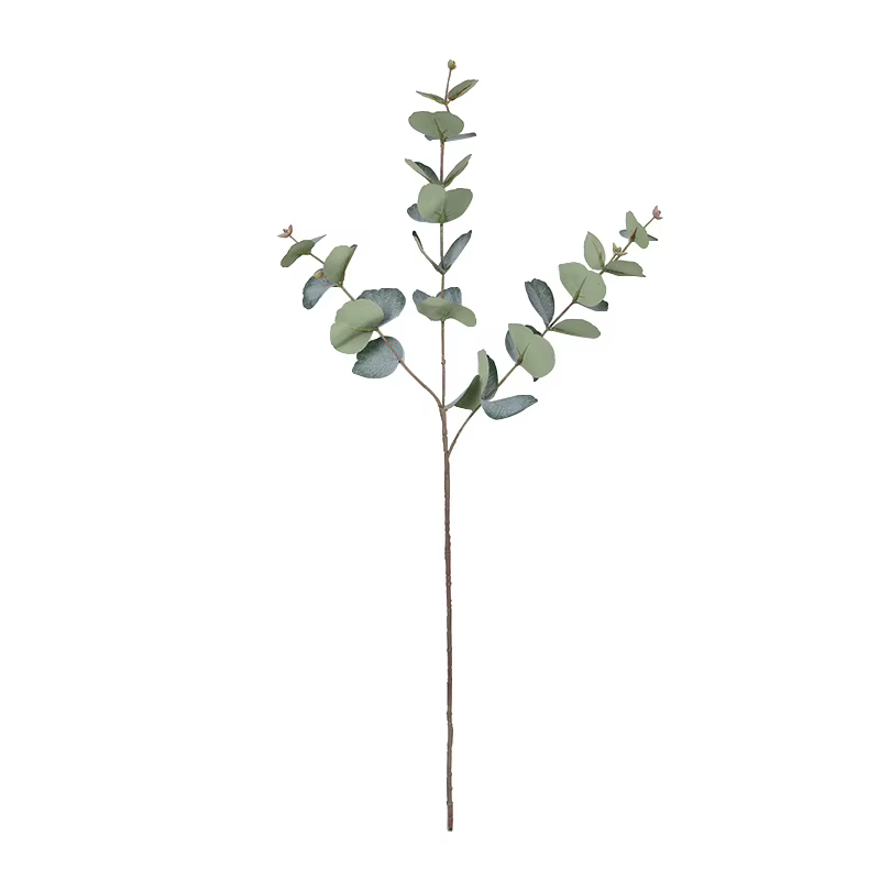 Branche d'arbre d'eucalyptus artificielle