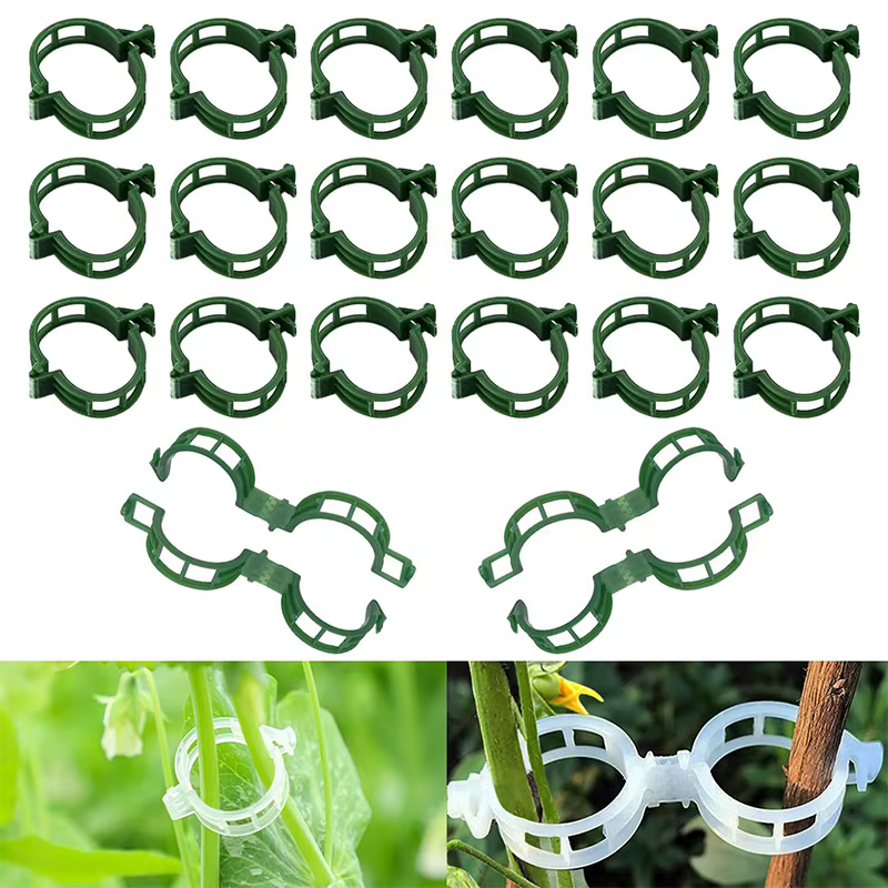 Clips de Support pour plantes en plastique