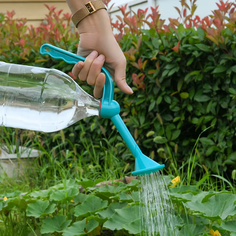 Arrosage des plantes de jardinage