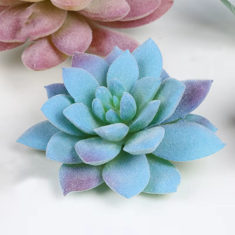 Plantes succulentes artificielles sans pot
