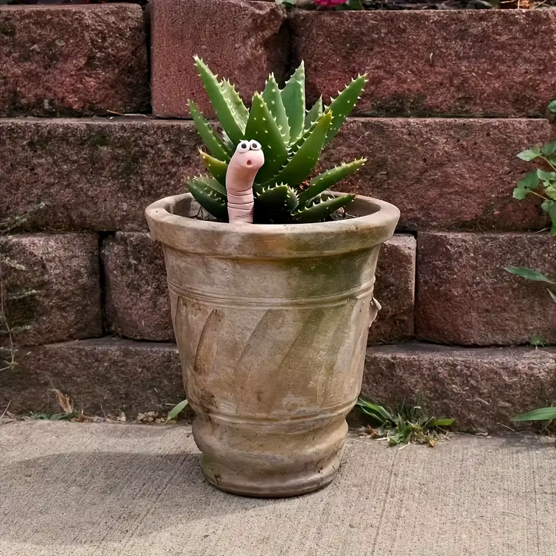 Décorations de plantes de ver de sorcière
