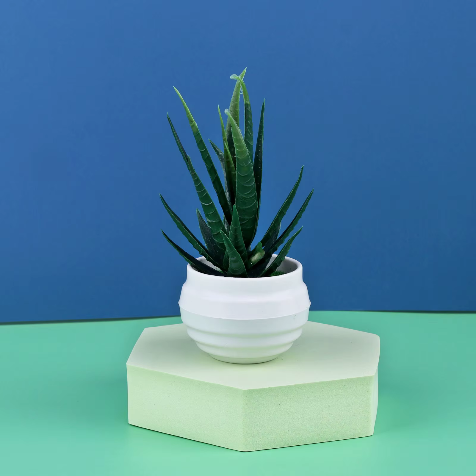 Artificielles Plantes d'Aloès Mini Plantes Forme Bonsaï