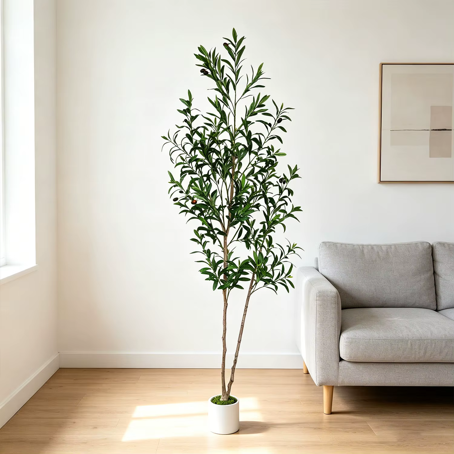 Arbre d'olivier artificiel à double tronc de 145 cm à 175 cm / 5