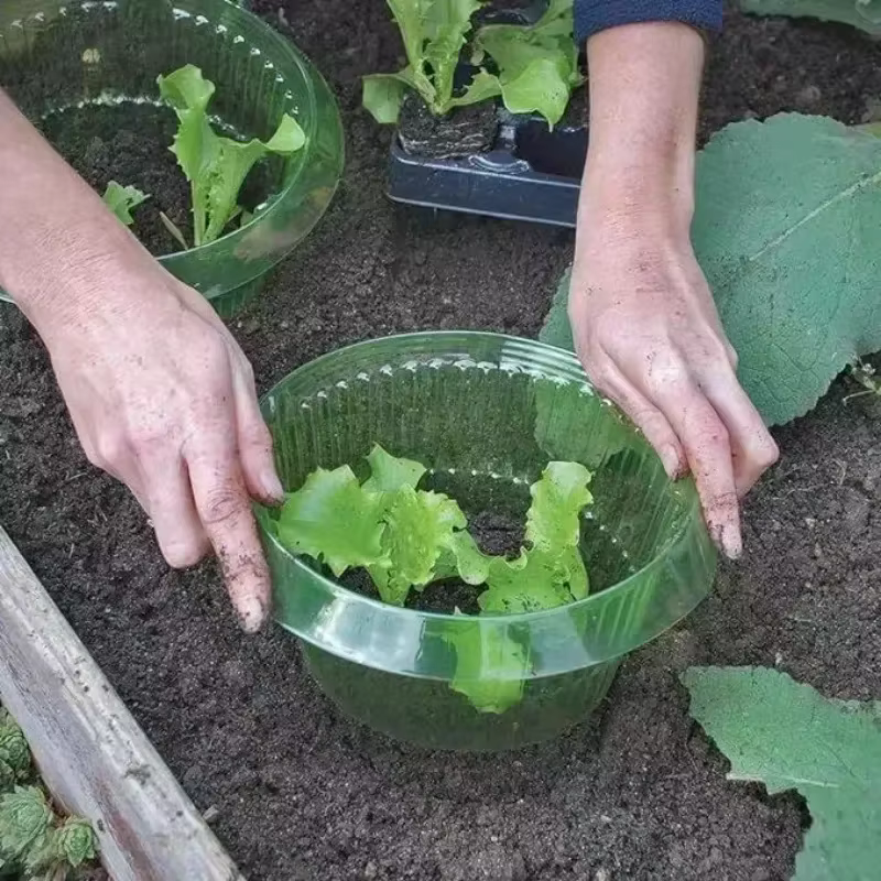 Plantes limace Protection anneaux légumes couverture plante escargot collier garde vert planteur Pot de fleur lutte antiparasitaire trappeur outil de jardin