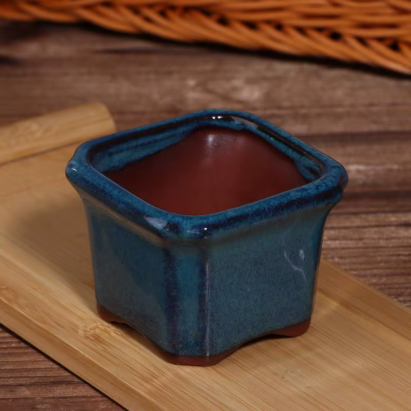 3 mini-pots de fleurs en céramique pour plantes succulentes