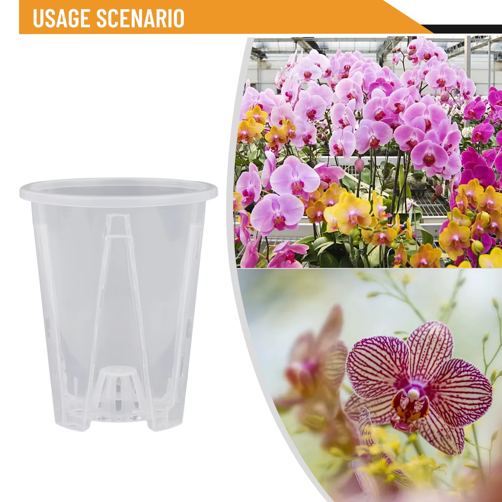 Pots d'orchidées en plastique Transparent