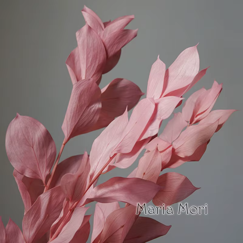 5 pièces/fleur conservée de blanchiment séché feuilles d'orange lys bambou pour arrangement floral fait à la main bureau maison décoration de mariage