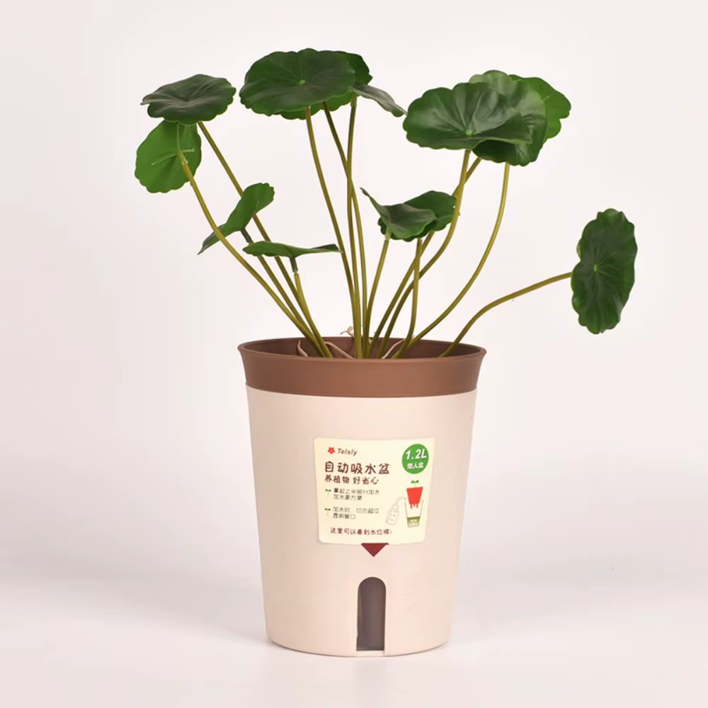 Pot de fleur hydroponique paresseux, pot de fleurs absorbant l'eau, pot de plante succulente, jardinière en plastique auto-arrosante, décor de salon et de bureau