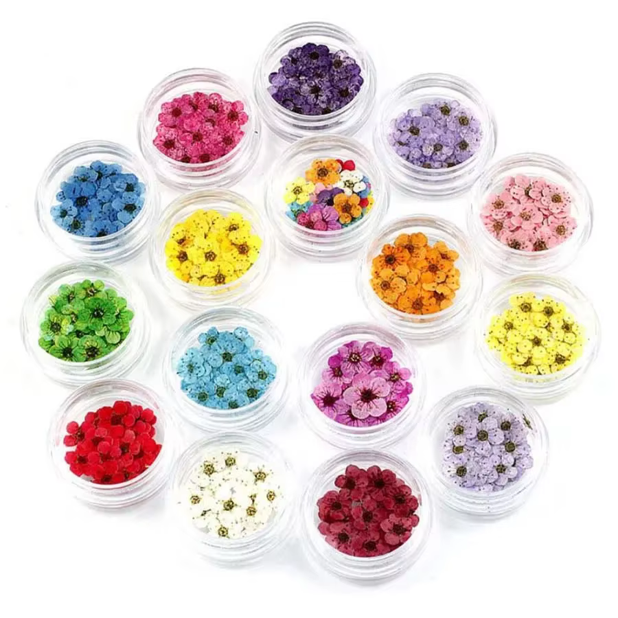 250 pièces Mini pressé séché Narcisse Jonquilla fleur plante herbier pour résine époxy bijoux signet carte postale Nailart bricolage