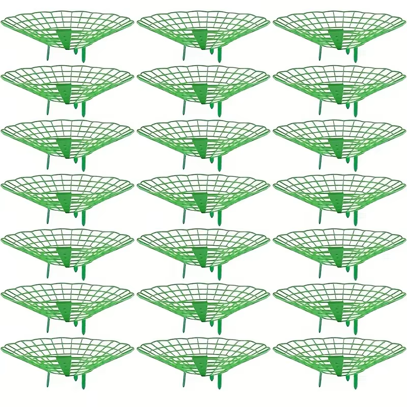 Supports de plantation de fraises vertes