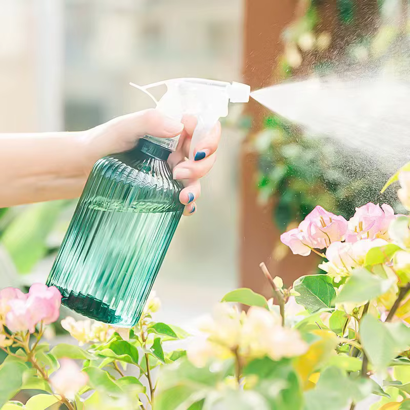 Bouteille d'eau en plastique pour l'irrigation des plantes et des fleurs