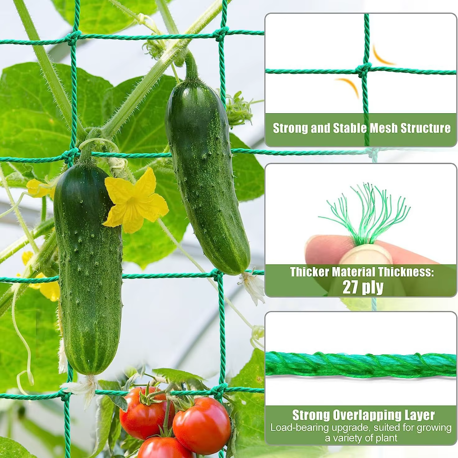 Filet d'escalade pour plantes