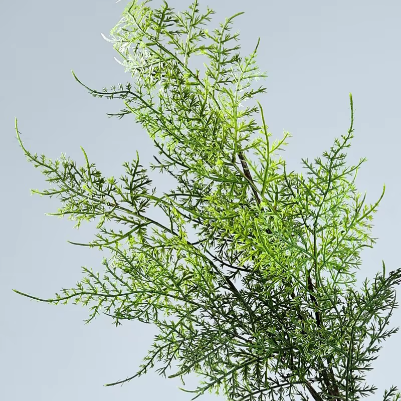 6 pièces de plantes artificielles décoratives pour café