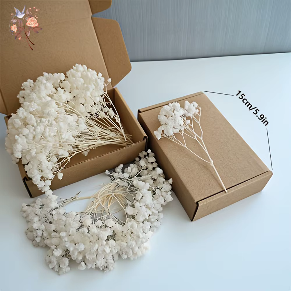 Mini-bouquet de 50 petites fleurs séchées de gypsophile blanches en vrac pour décoration rustique de maison
