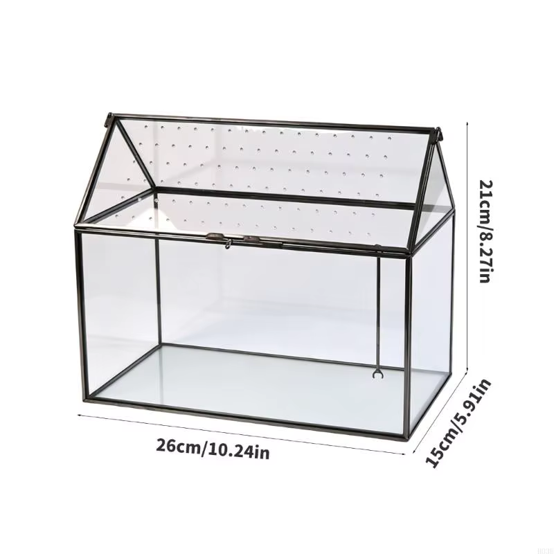 Boîte terrarium en verre pour exposition plantes
