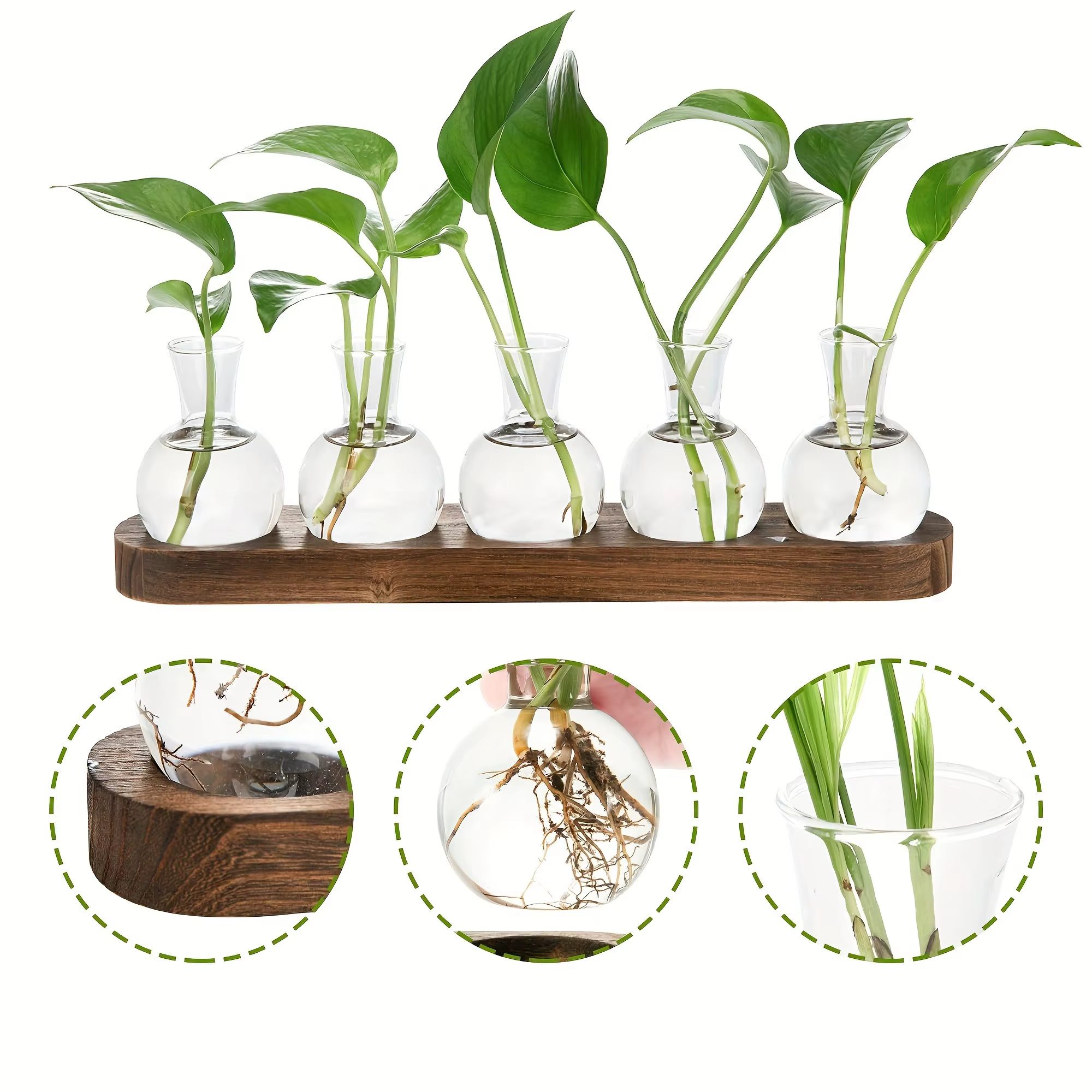 Terrarium de plantes en verre moderne avec plateau en bois – Vase hydroponique pour station de propagation intérieure