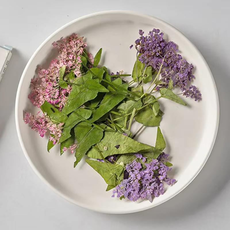Fleur de sarrasin pressée