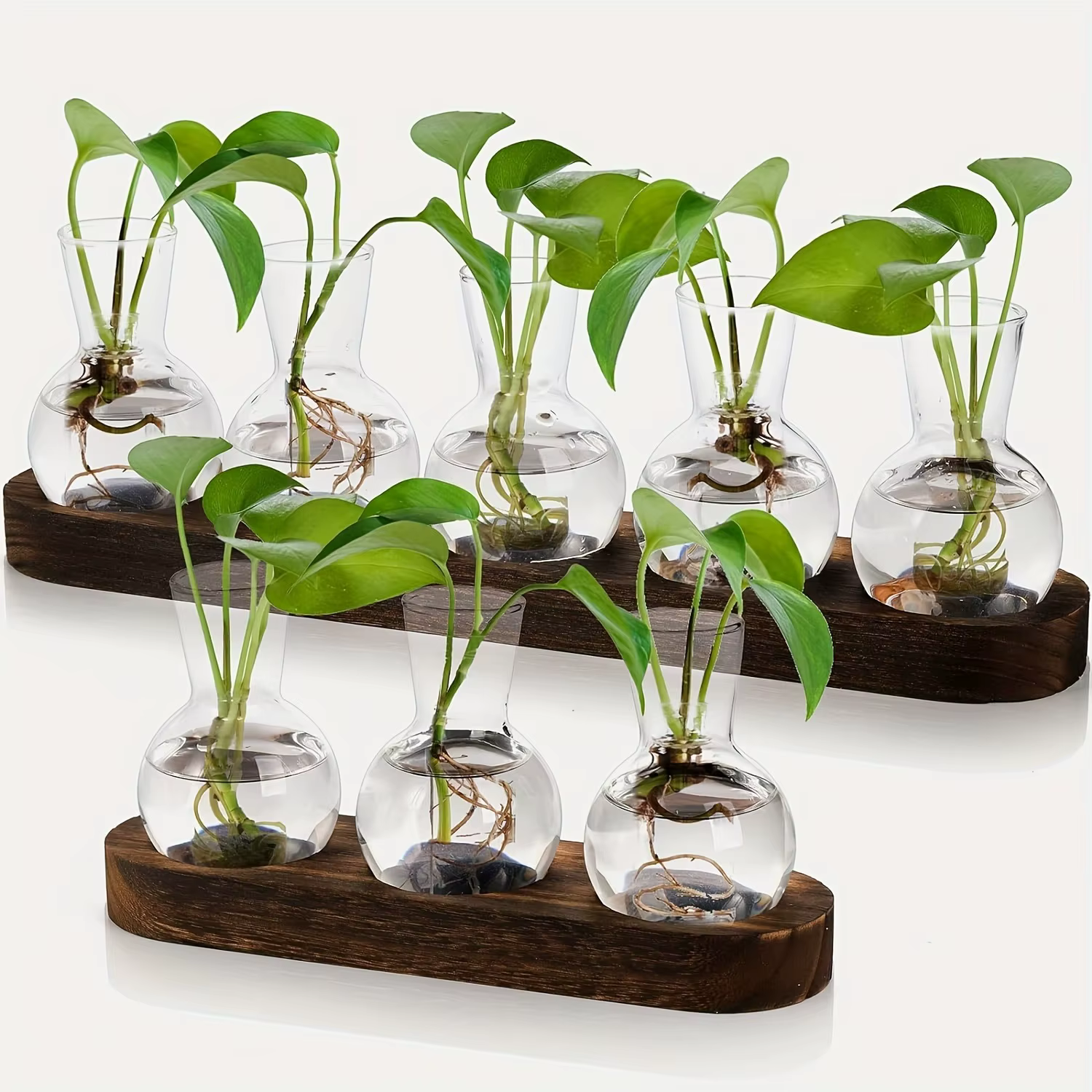 Terrarium de plantes en verre moderne avec plateau en bois – Vase hydroponique pour station de propagation intérieure