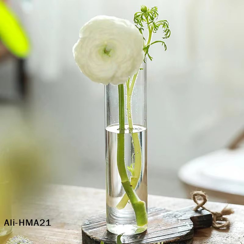 【H】Vase en verre pour plantes hydroponiques