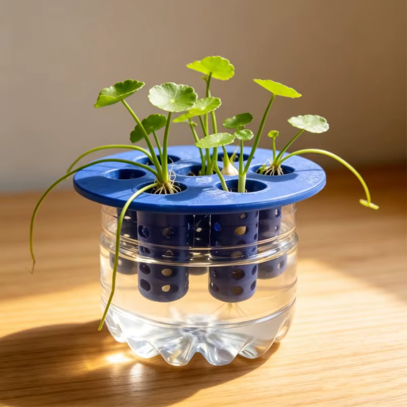 Jardinières hydroponiques pour légumes