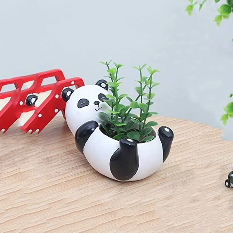 Pot de plantes panda mignon