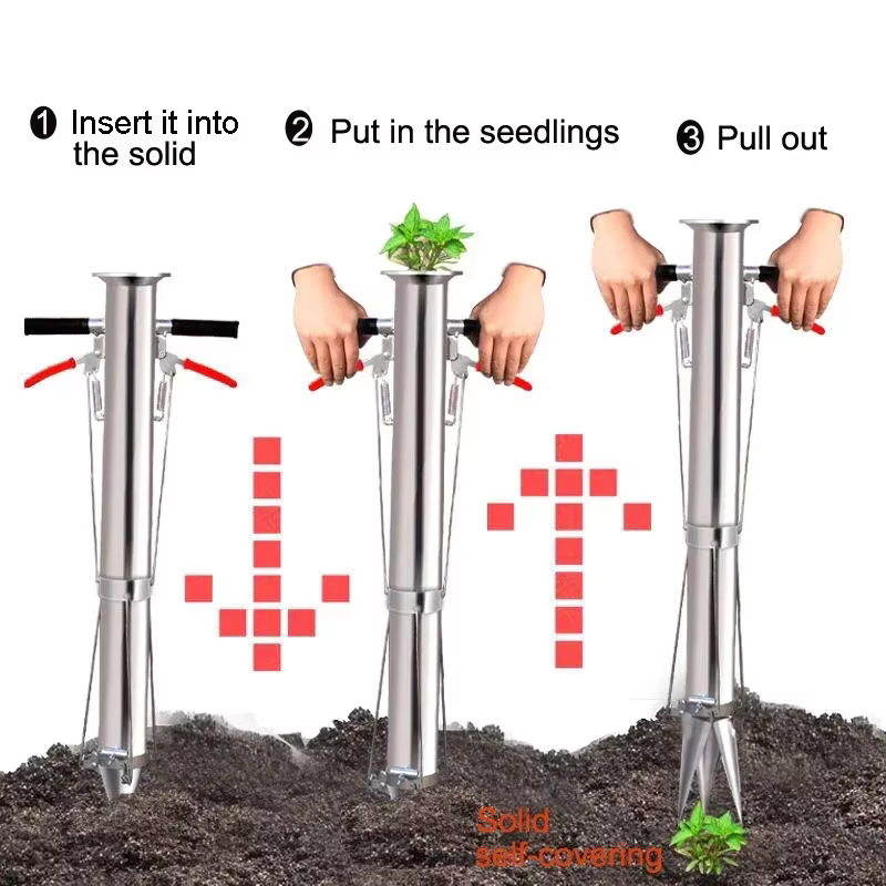 Transplanteur de semis pour légumes
