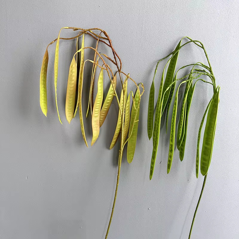 Haricots artificiels au toucher réel