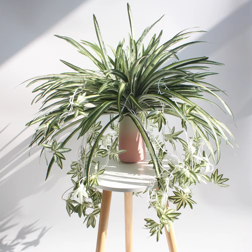 Plantes artificielles factice combo publicité plastique