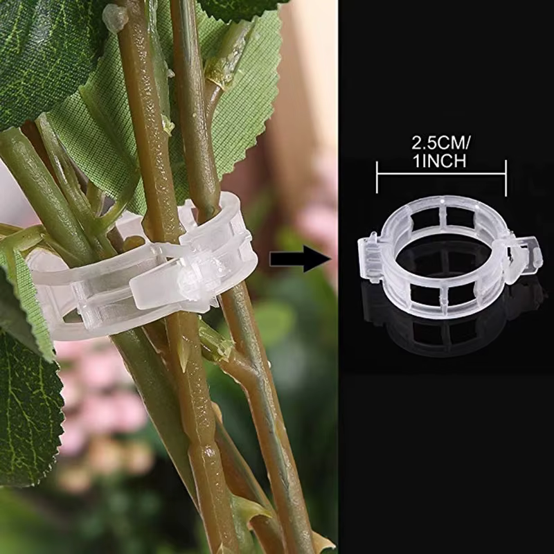 Clips de Support de plante en plastique réutilisables