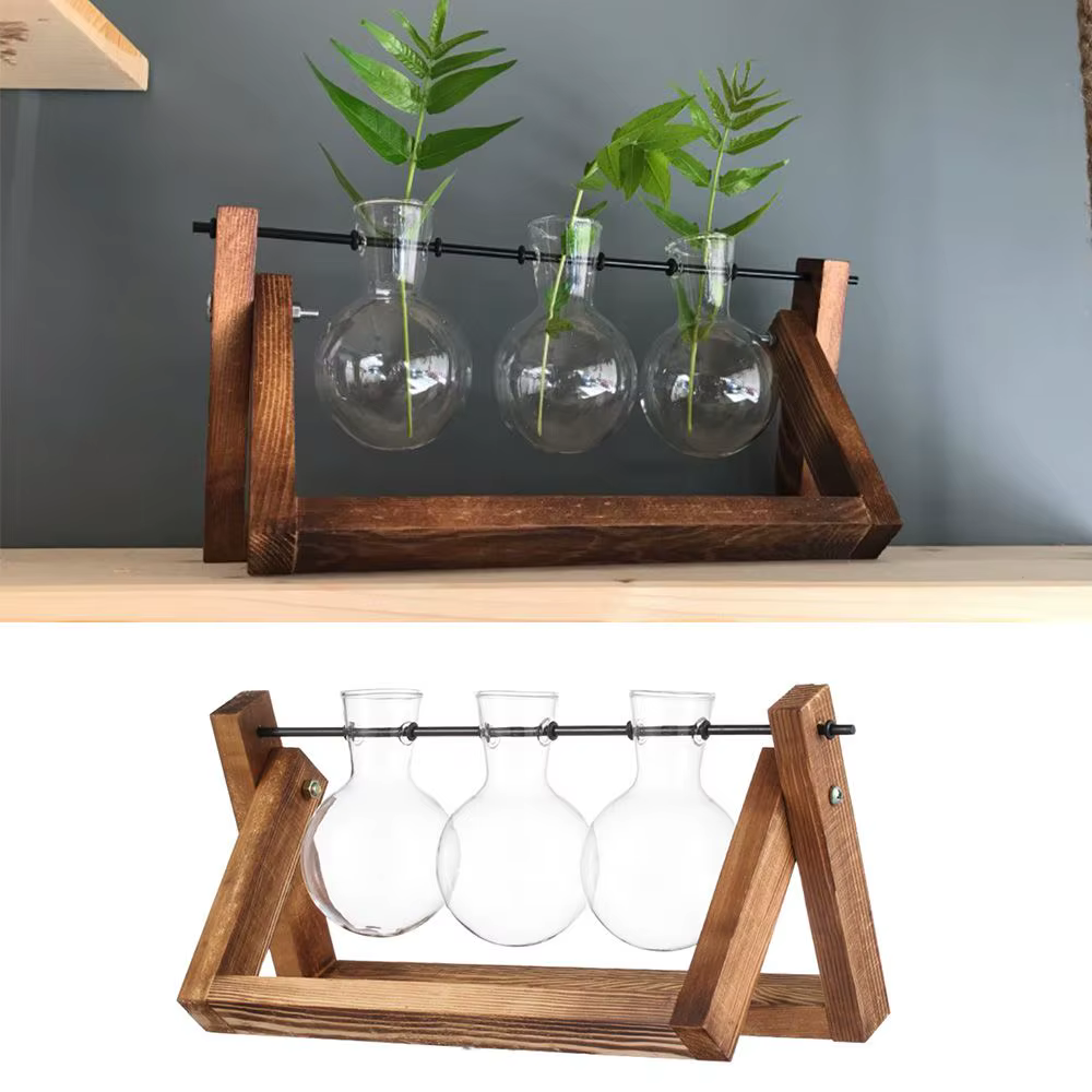 Vase en verre pour plantes hydroponiques