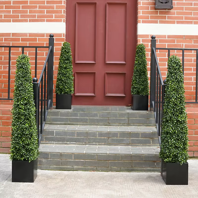 Plantes vertes en pot de cuir chevelu Milan Él