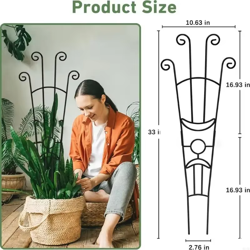 Structure Support plante en fer anti-oxydation