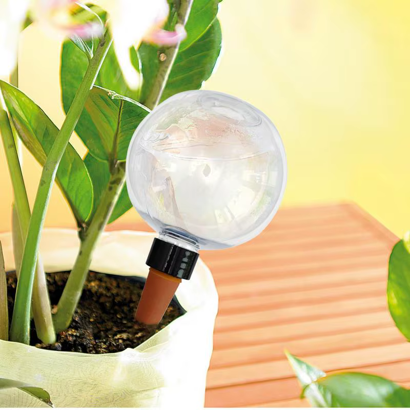 Globes d'arrosage automatique 500ml