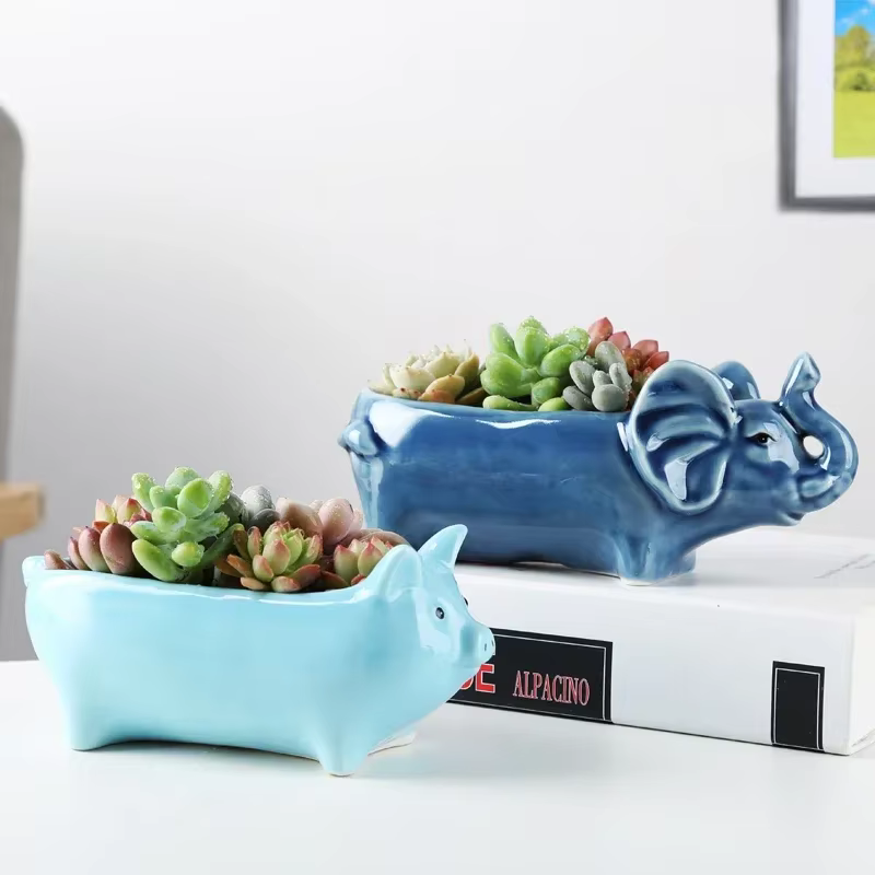 Pot de fleur succulente en alpaga