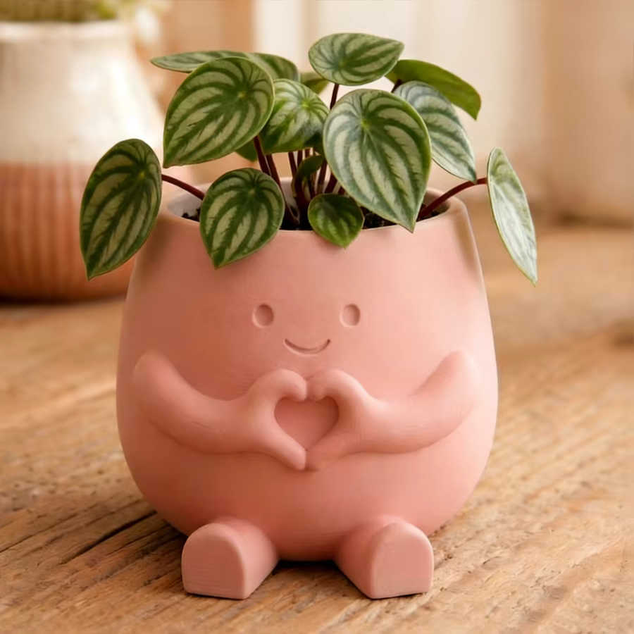 Pot de fleurs imprimé en 3D pour plantes grimpantes et succulentes – Jardinière légère en plastique – Décoration moderne pour la maison – Adapté intérieur/extérieur