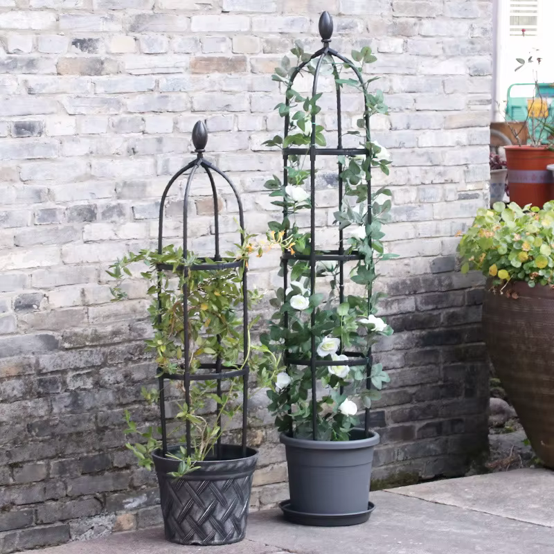 Cadre de Support pour Plantes Grimpantes en Treillis