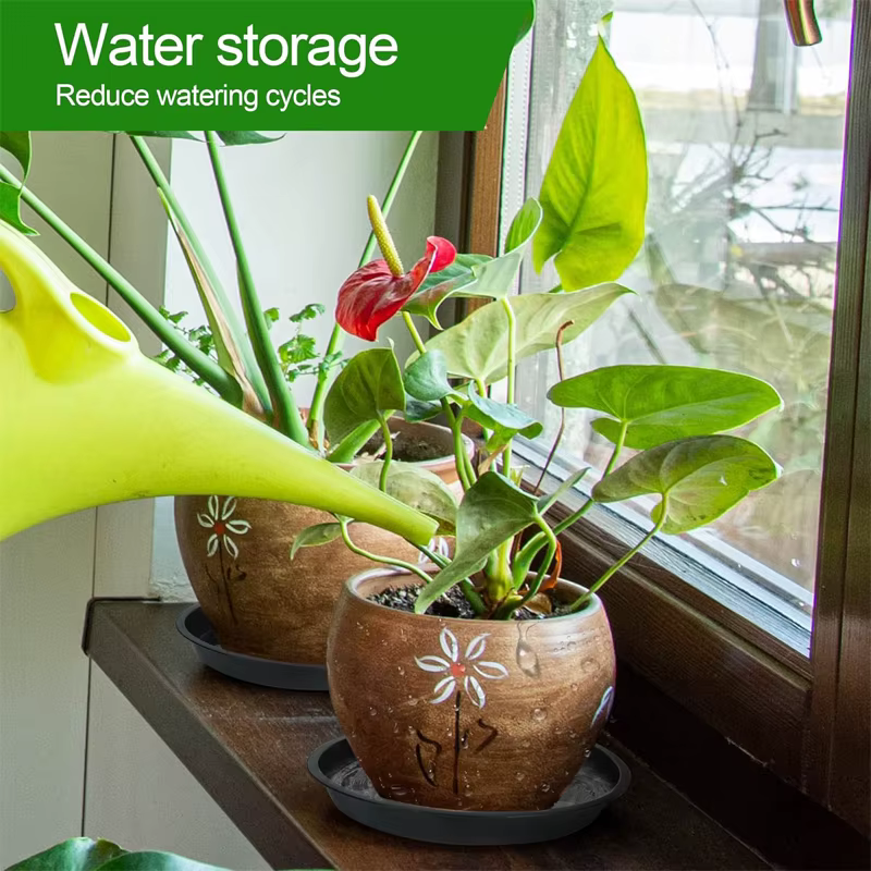 Soucoupes pour plantes de 6