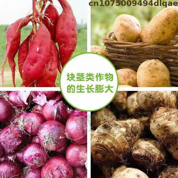 Sel de potassium d'acide indole-3-butyrique (IBA-K) soluble dans l'eau 98% TC - Hormone d'enracinement végétal en poudre pour le jardinage et l'agriculture