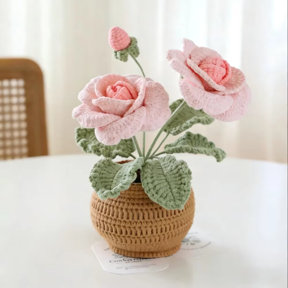 Plante en pot de roses à quatre feuilles et à deux têtes
