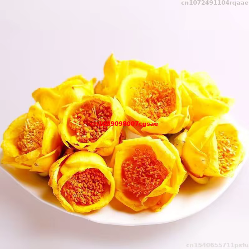 Fleur de Camélia Dorée Séchée Naturelle Petelotii (merr.) Fleurs séchées Sealy pour savon