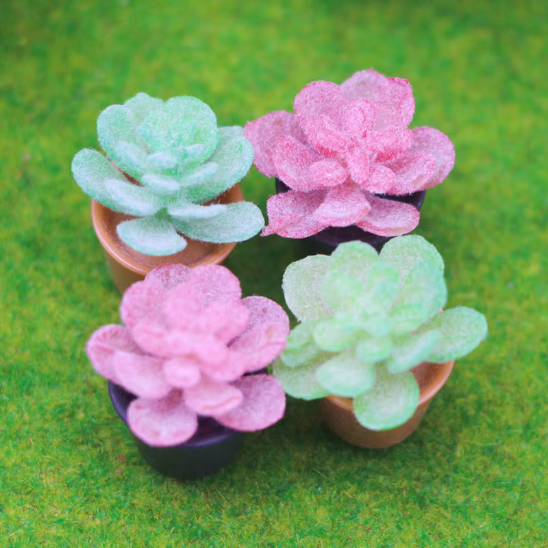 Mini simulation de plante succulente
