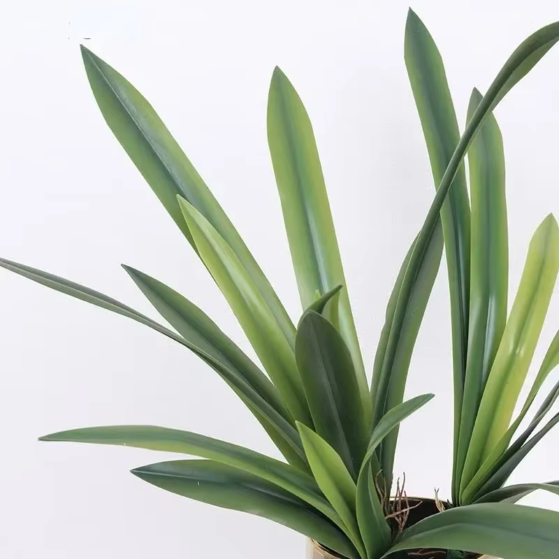 Feuilles de clivia artificielles décoratives d'étude