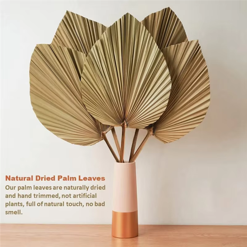 !2025 4 pièces de feuilles de palmier séchées naturelles