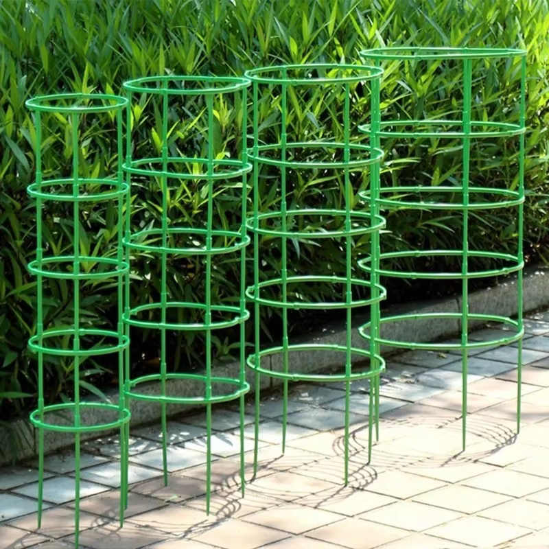 1 ensemble de supports de plantes en plastique