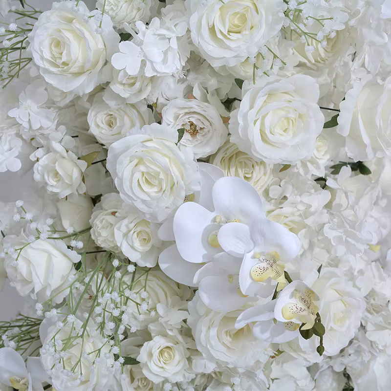 Arc de Rose Fenella blanc surdimensionné de 240CM