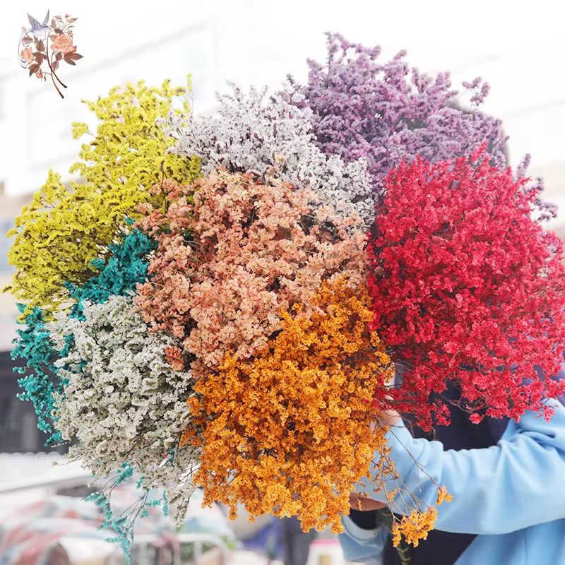 Bouquets d'herbe en cristal naturel de fleurs séchées